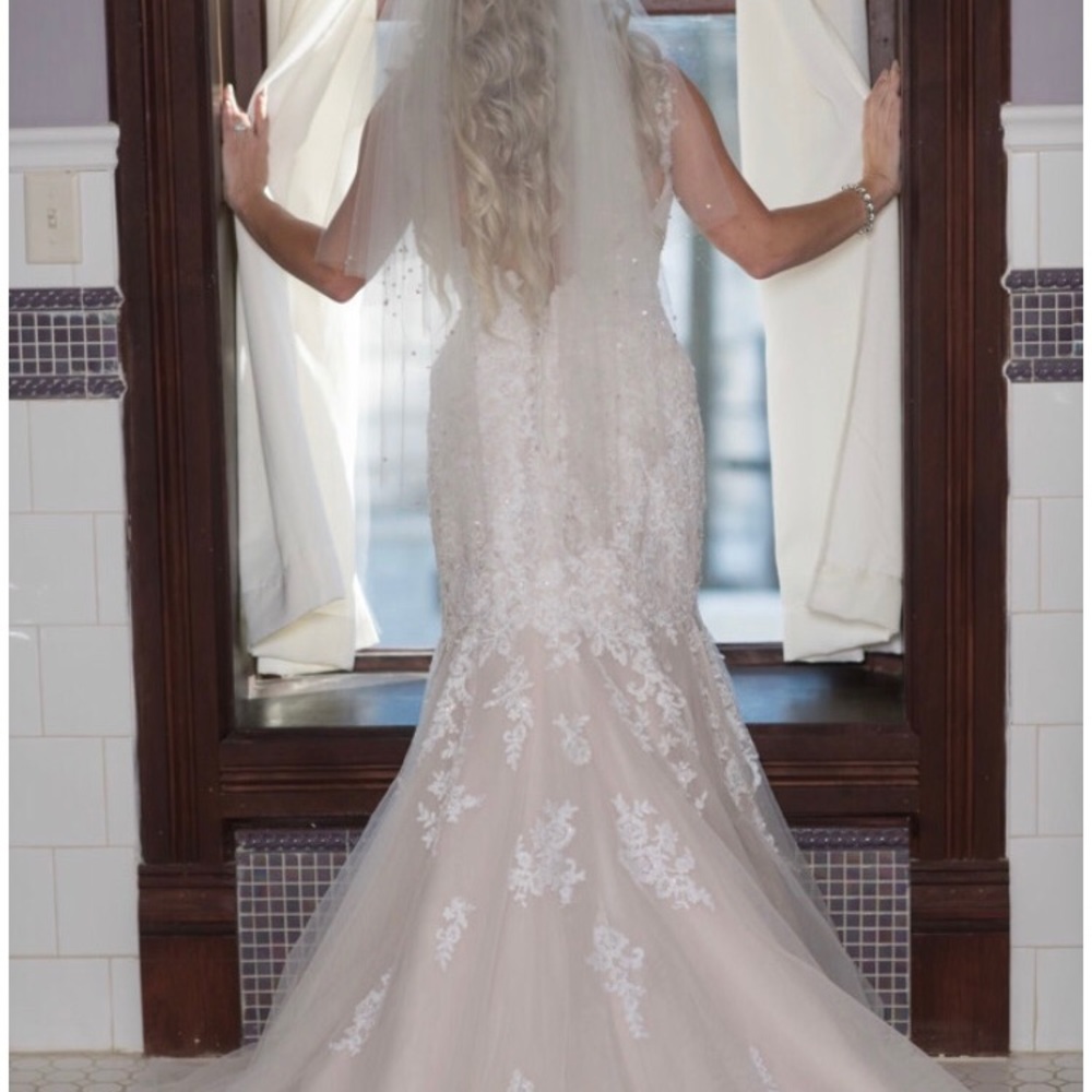 Beautiful Stella York wedding gown! Extra beading! - Picture 4 of 4
